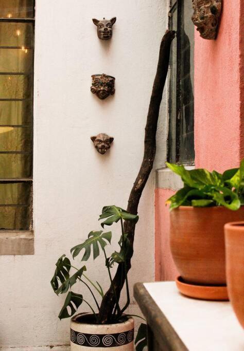 New Mex Inspired Bo-Ho Chic Apartment With Private Patio And Roof Terrace Mexico City Luaran gambar